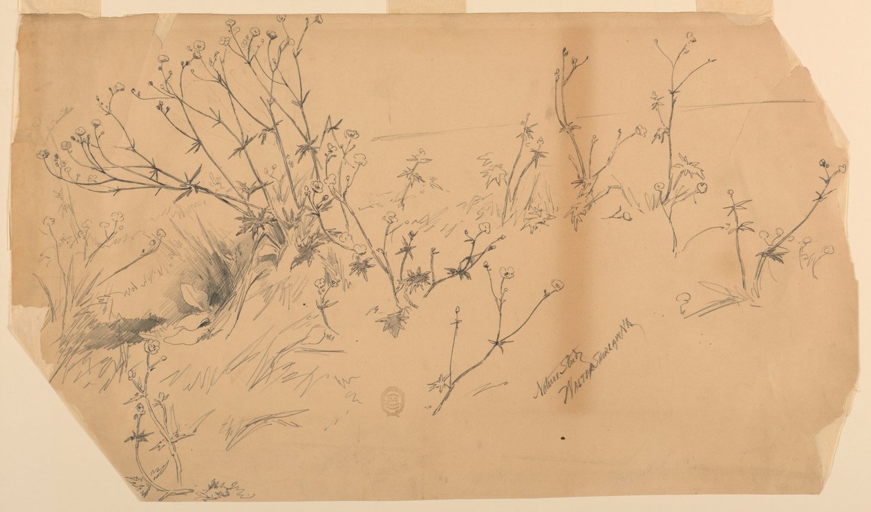 Naturstudie von Walter Shirlaw