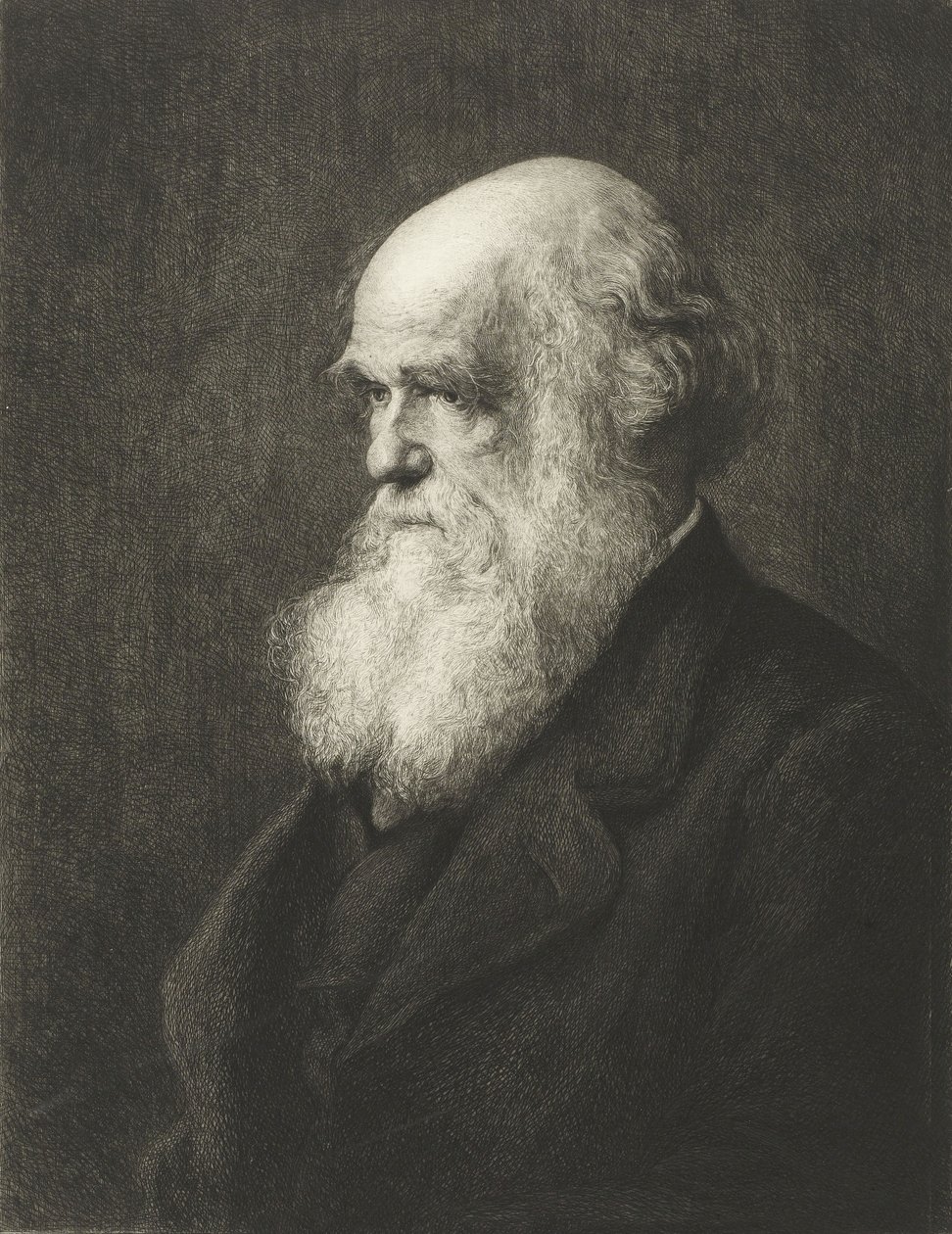 Charles Robert Darwin von Walter William (after) Ouless