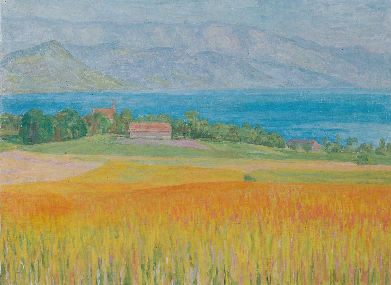 Kornfeld am Attersee von Walther Gamerith