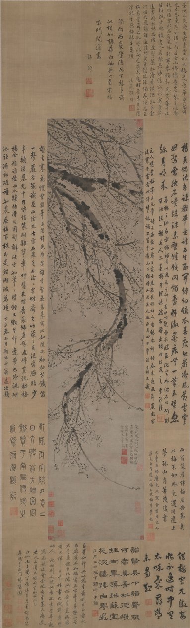 Tintenpflaume von Wang Mian