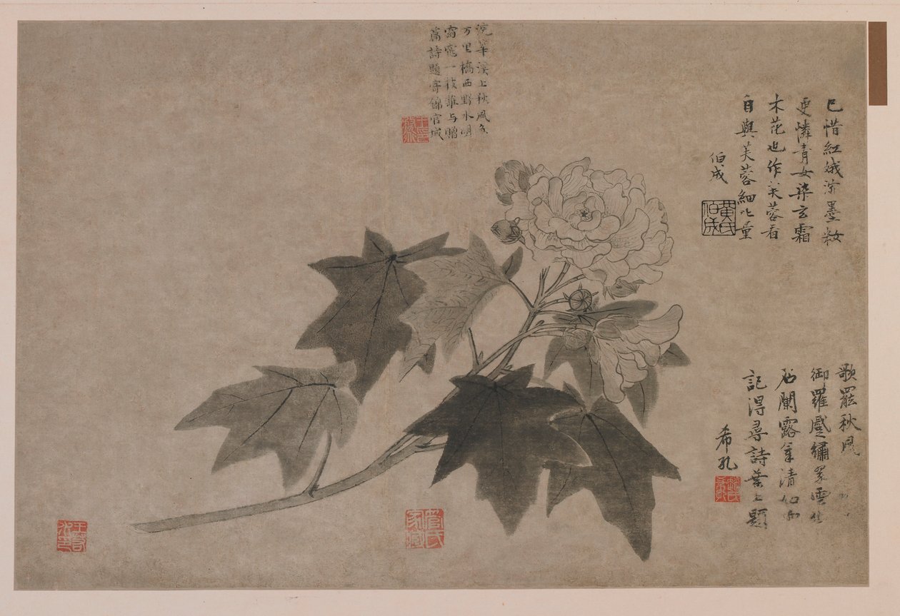 Hibiskus, 1347 von Wang Yuan