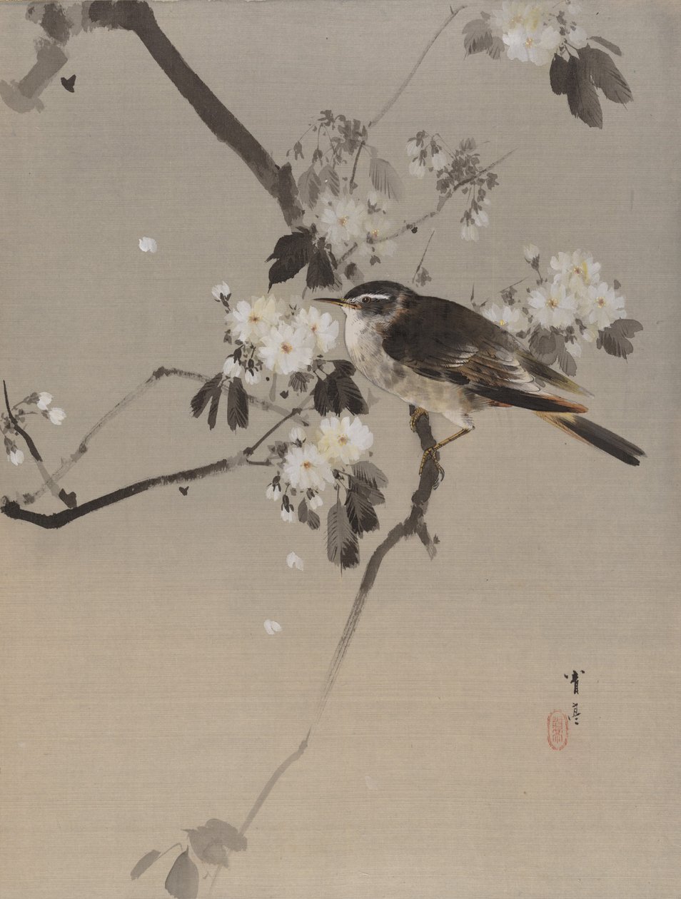 Vögel auf einem blühenden Zweig, ca. 1887 von Watanabe Seitei