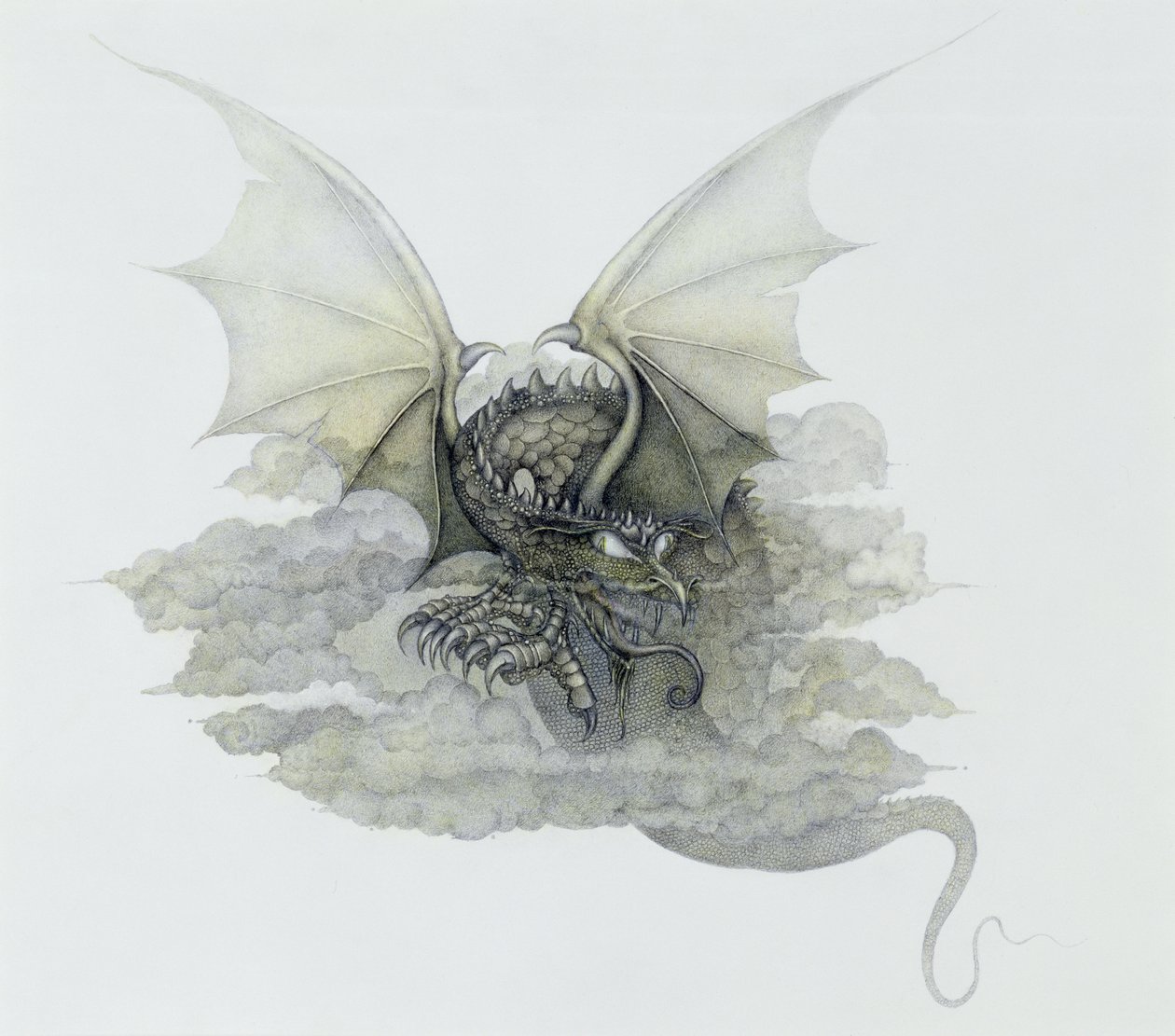 Ein wolkenartiger Drache von Wayne Anderson