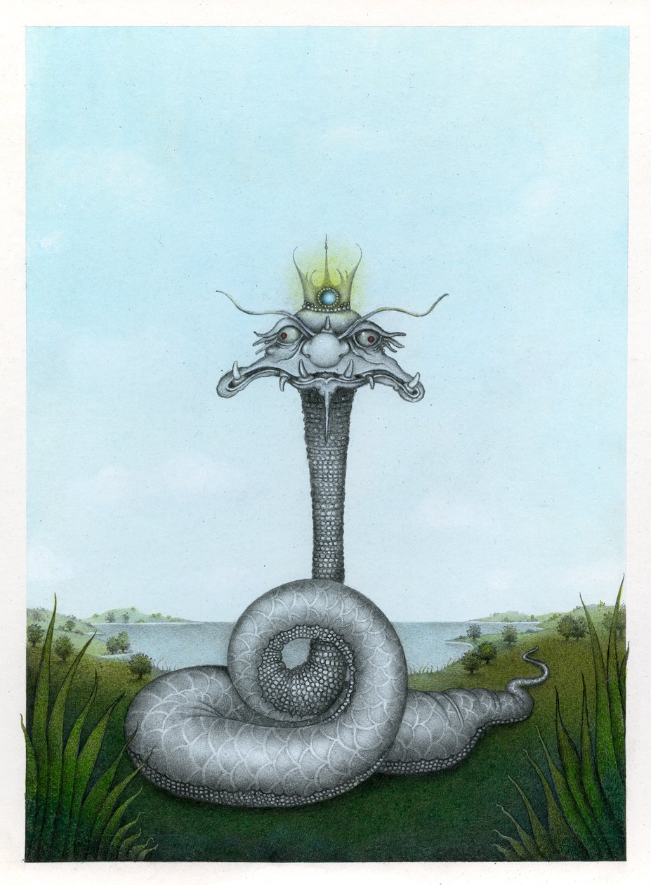 Der Schlangenkönig von Wayne Anderson