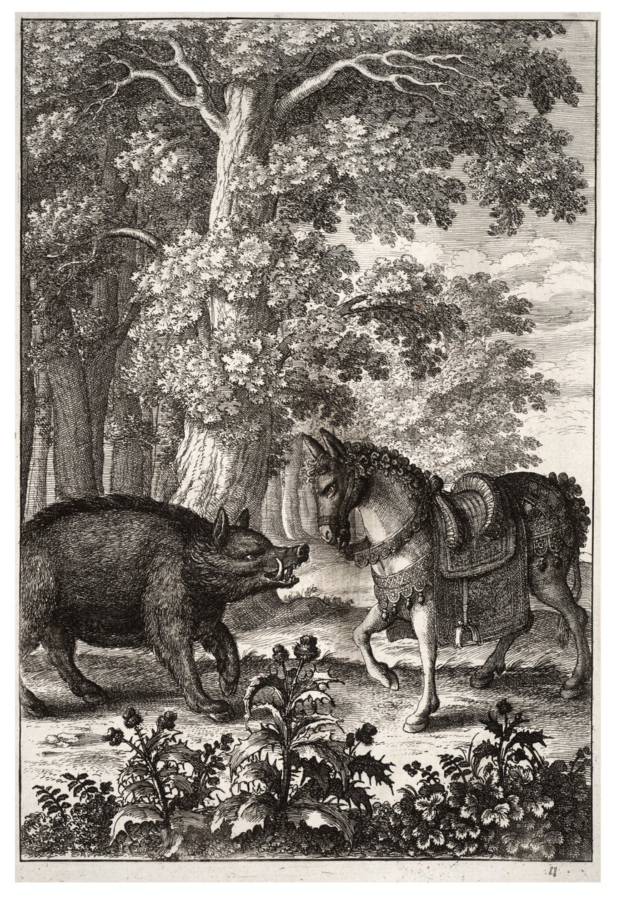 Eber und Esel von Wenceslaus Hollar