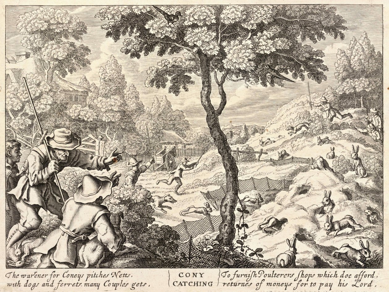 Kaninchenjagd von Wenceslaus Hollar