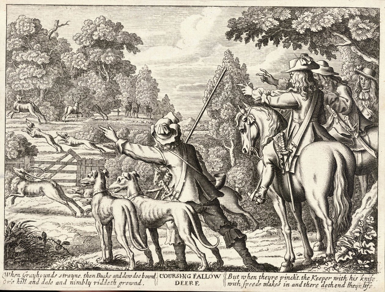 Hetzjagd auf Damhirsche von Wenceslaus Hollar