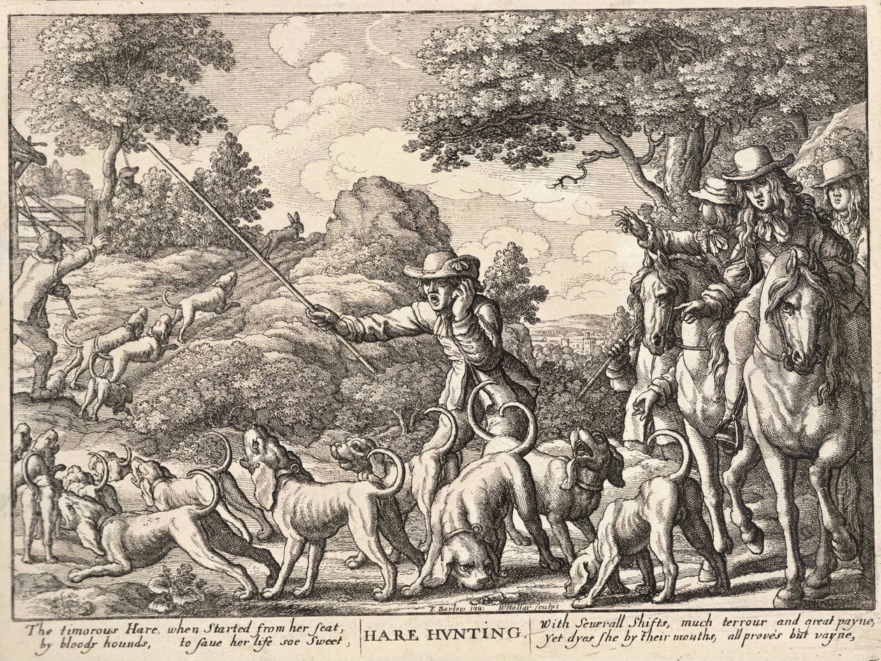 Hasenjagd von Wenceslaus Hollar