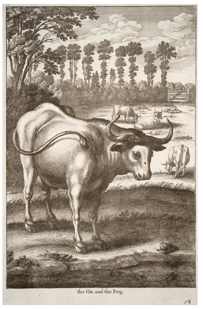 Ochse und Frosch von Wenceslaus Hollar