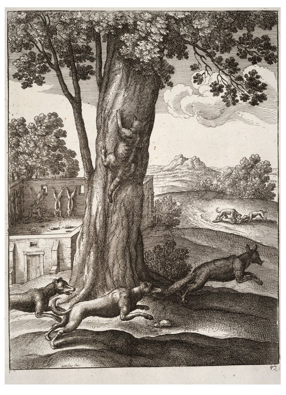 Der Fuchs und die Katze von Wenceslaus Hollar
