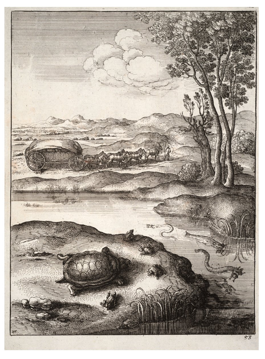 Die Schildkröte und die Frösche von Wenceslaus Hollar