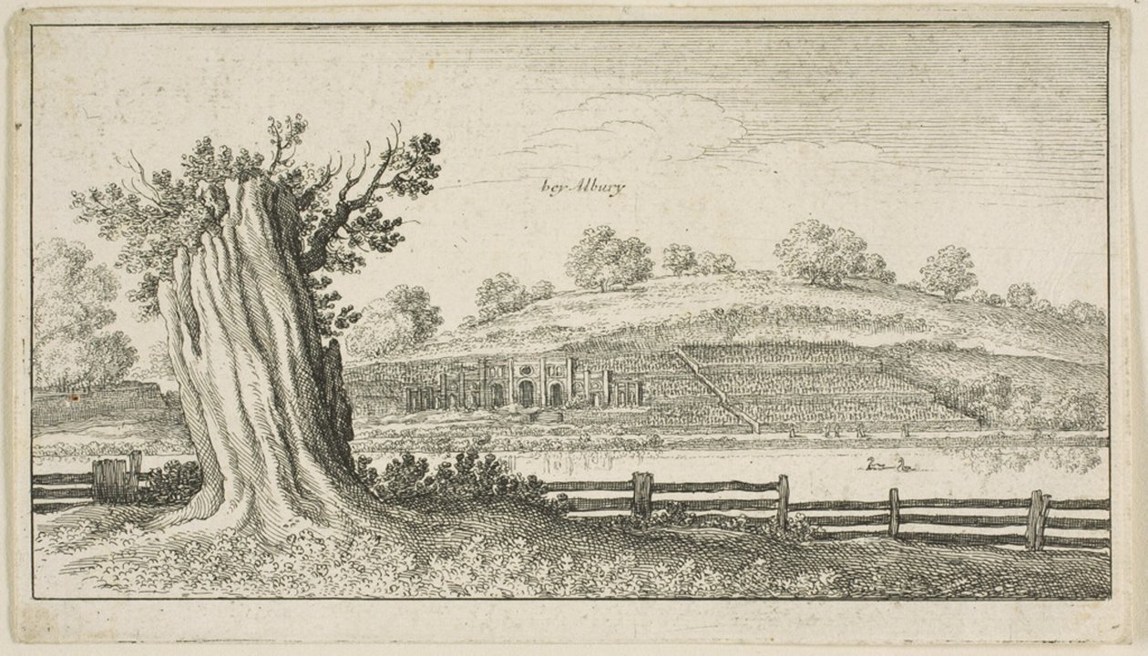 Albury mit Baumstumpf im Vordergrund von Wenceslaus Hollar