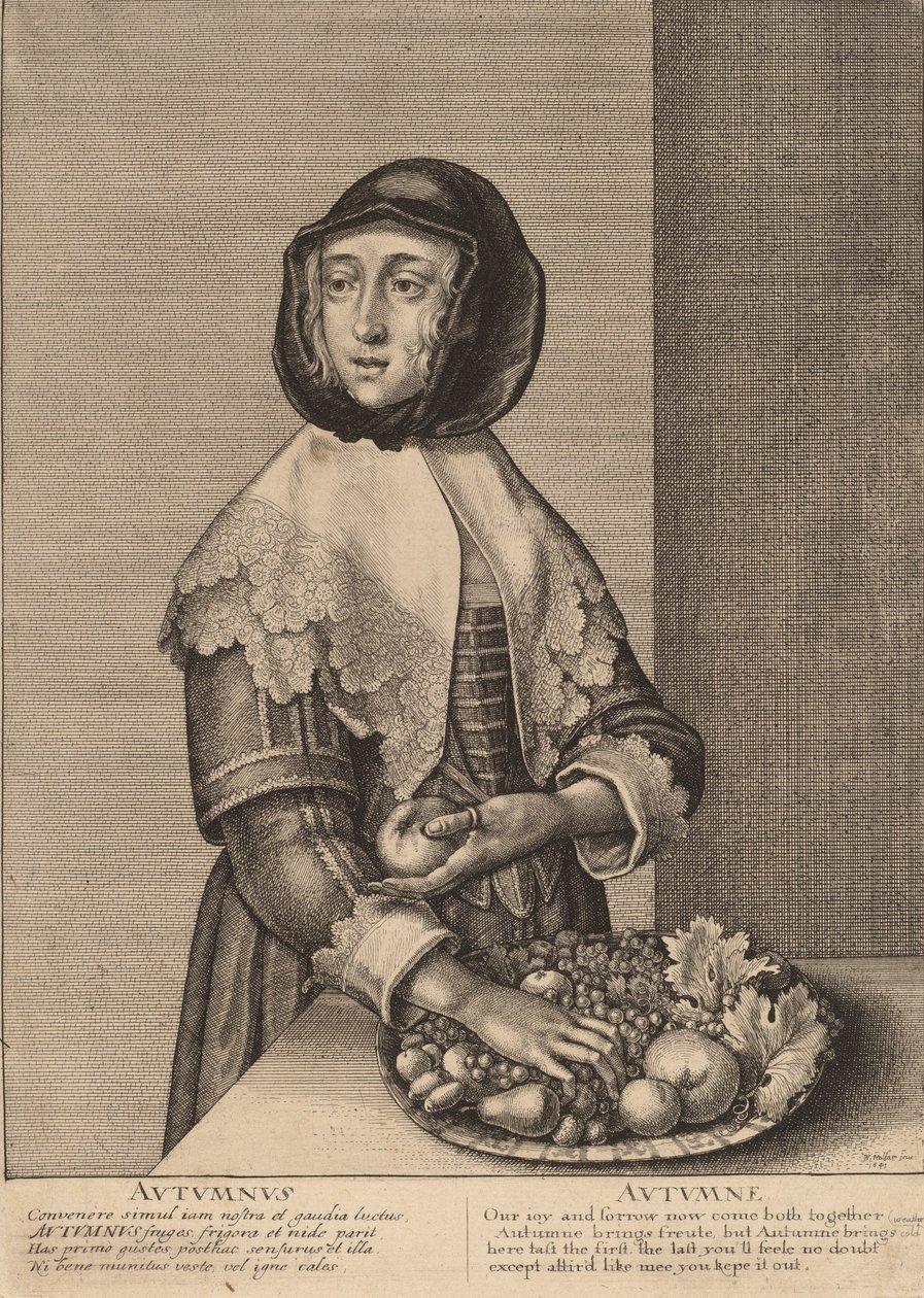 Herbst von Wenceslaus Hollar
