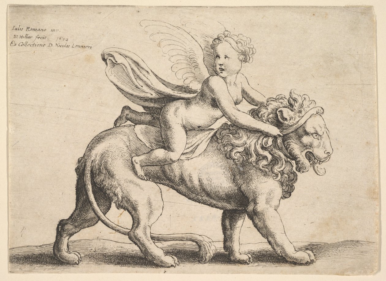 Amor auf einem Löwen, 1652 von Wenceslaus Hollar
