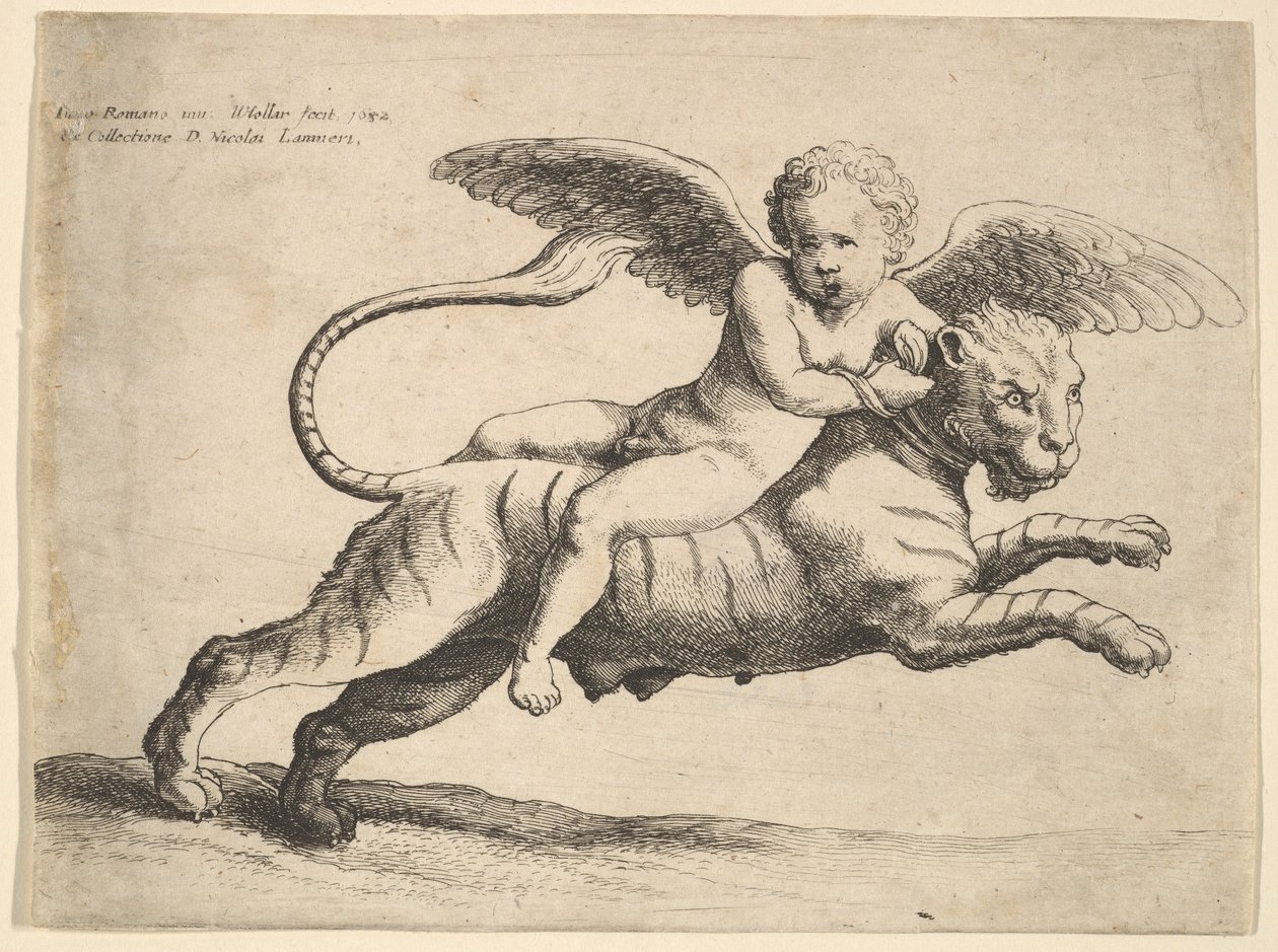 Amor auf einem Tiger, 1652 von Wenceslaus Hollar