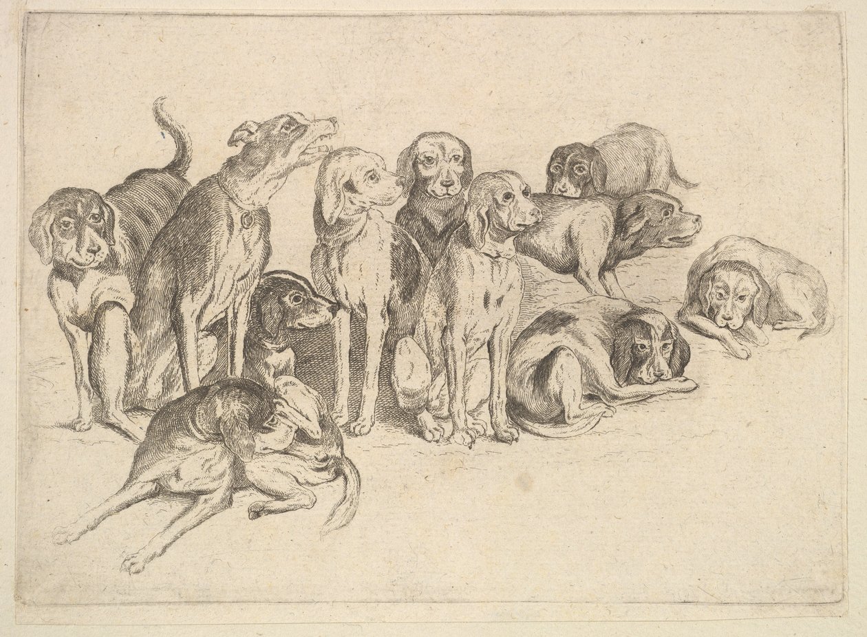 Elf Hunde von Wenceslaus Hollar