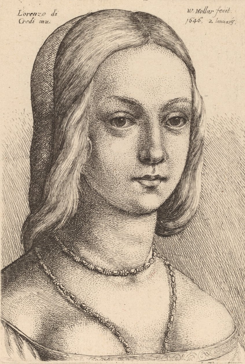 Kopf einer Frau, nach rechts blickend von Wenceslaus Hollar