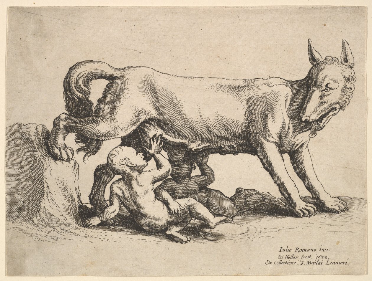 Romulus und Remus, 1652 von Wenceslaus Hollar