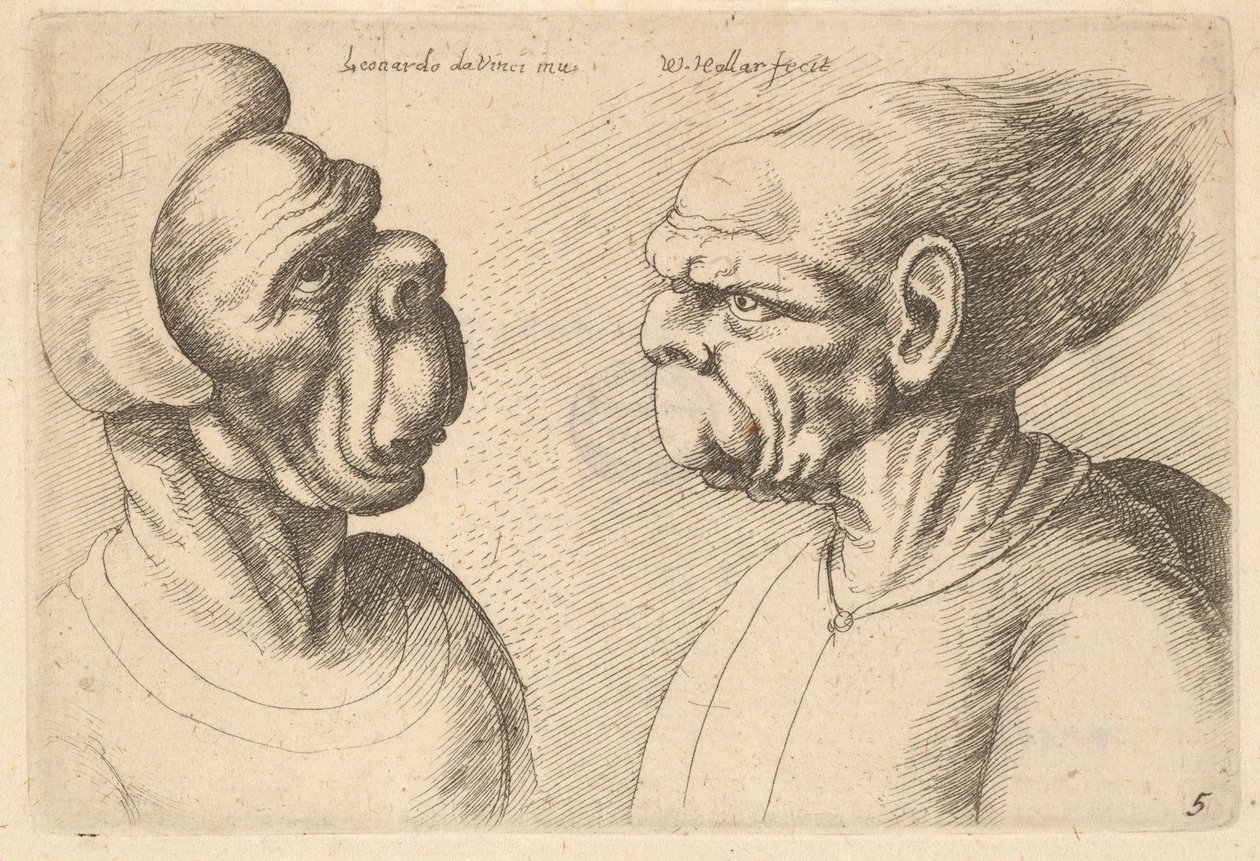 Zwei deformierte Köpfe, die nach innen schauen, 1625-77 von Wenceslaus Hollar