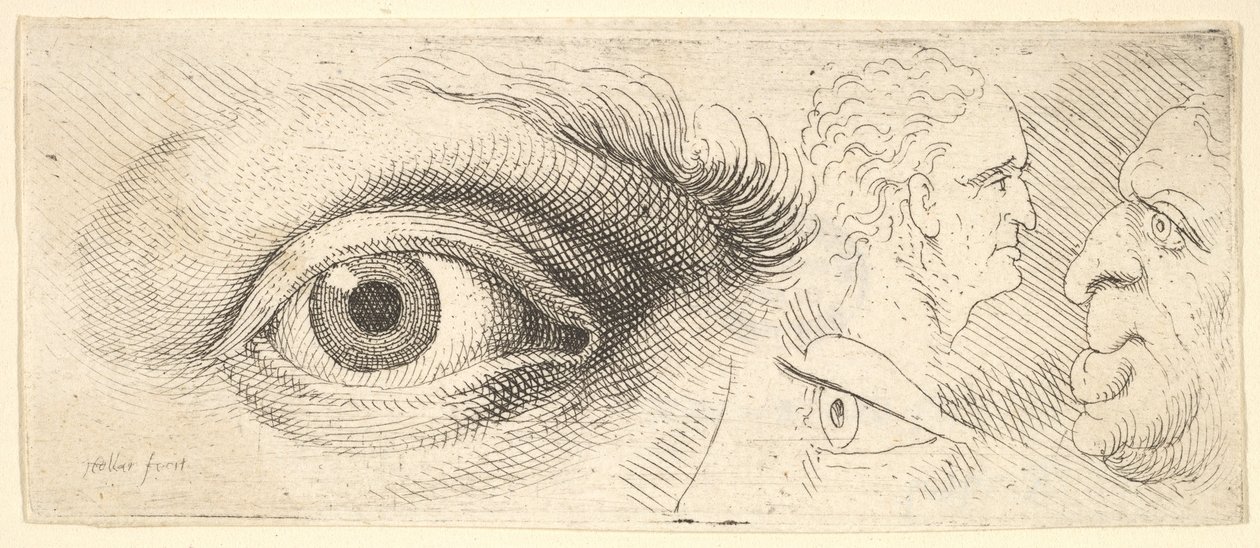 Zwei Augen und zwei Köpfe von Wenceslaus Hollar