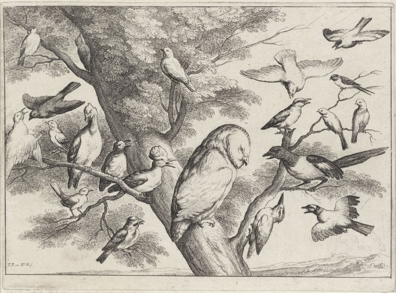 Vögel in einem Baum von Wenceslaus Hollar