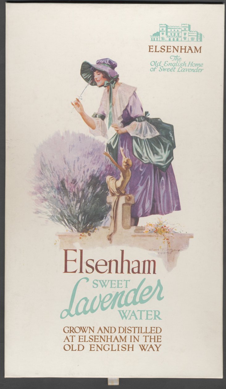 Elsenham Lavendel, 1920er Jahre von Wilfred Fryer