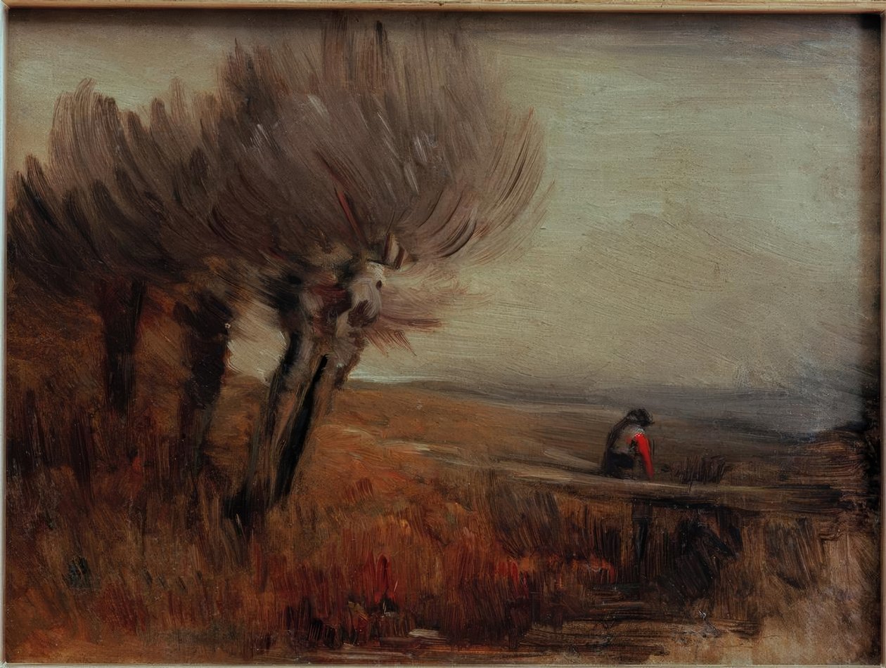 Flachlandschaft mit drei Kopfweiden von Wilhelm Busch