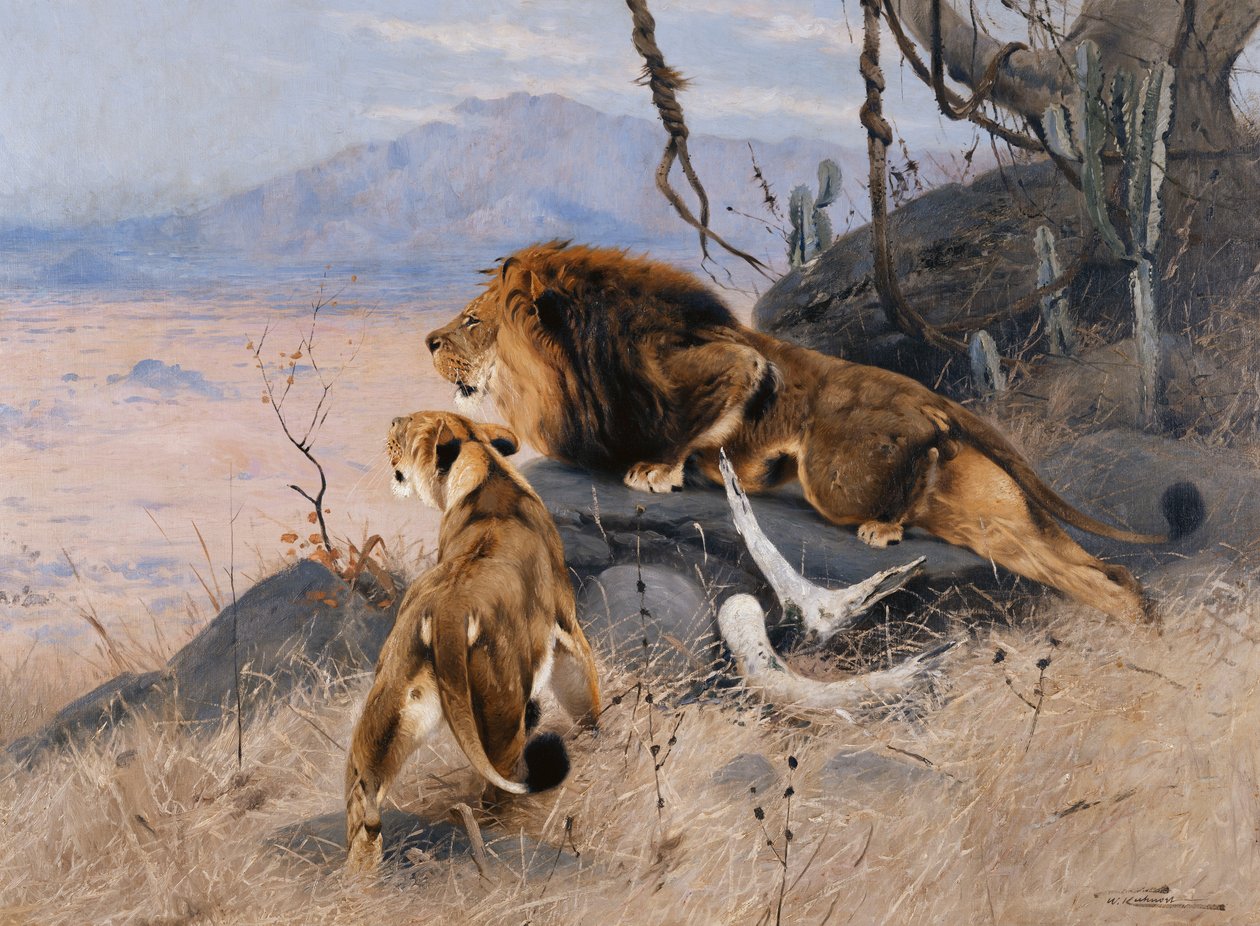 Löwe und Löwin von Wilhelm Kuhnert