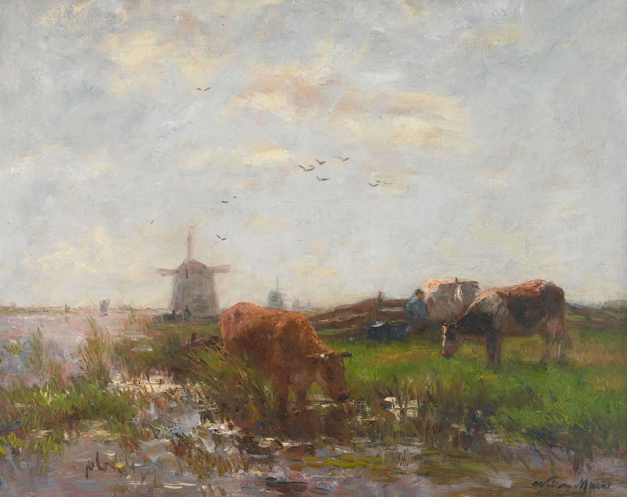Weidende Rinder am Wasser, ca. 1880-90 von Willem Maris