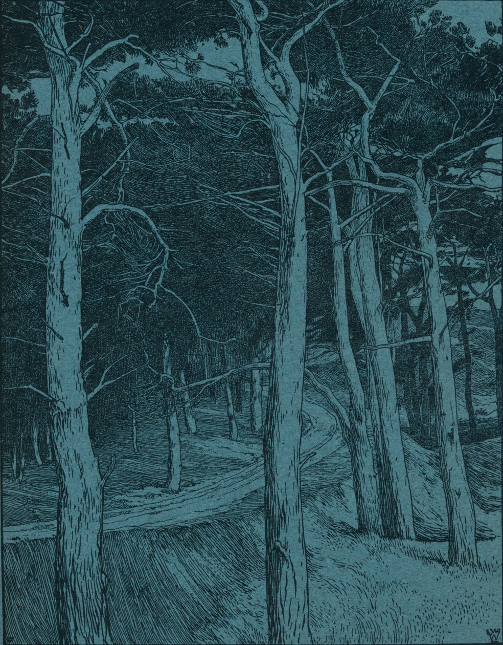 Wald, um 1912 von Willem Wenckebach