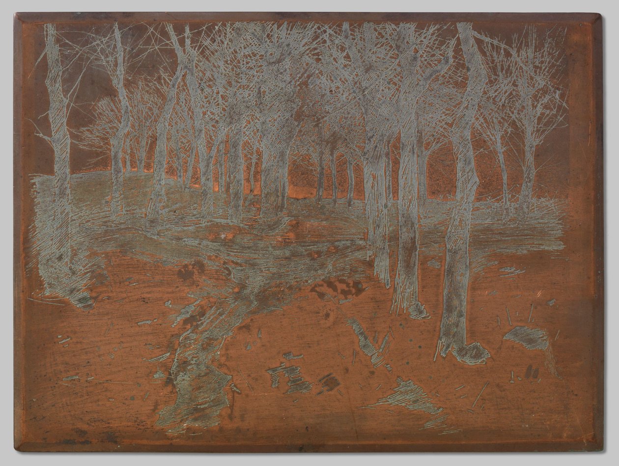 Wald in Ewijkshoeve von Willem Arnoldus Witsen