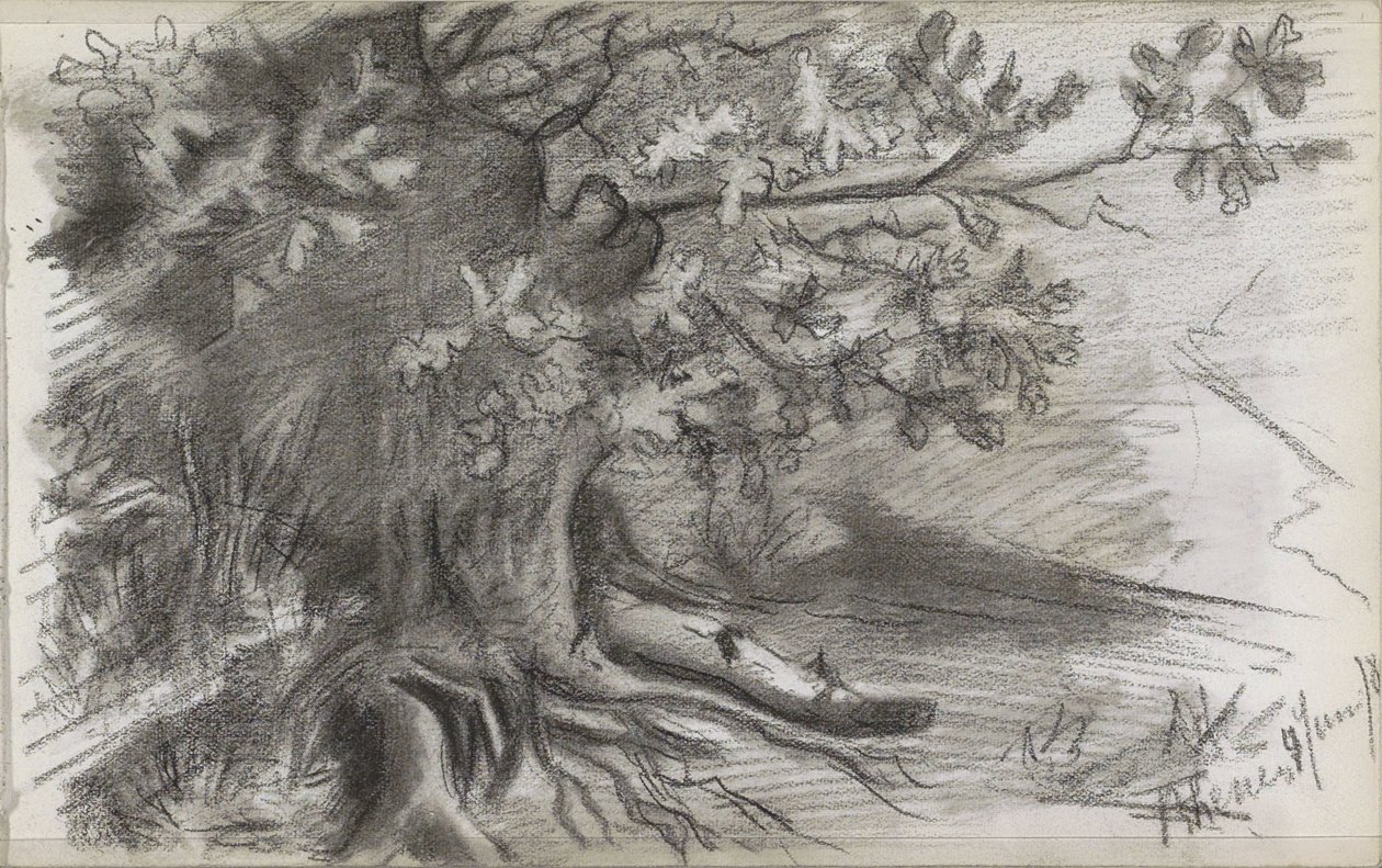 Landschaft mit einem großen Baum in Rhenen von Willem Arnoldus Witsen