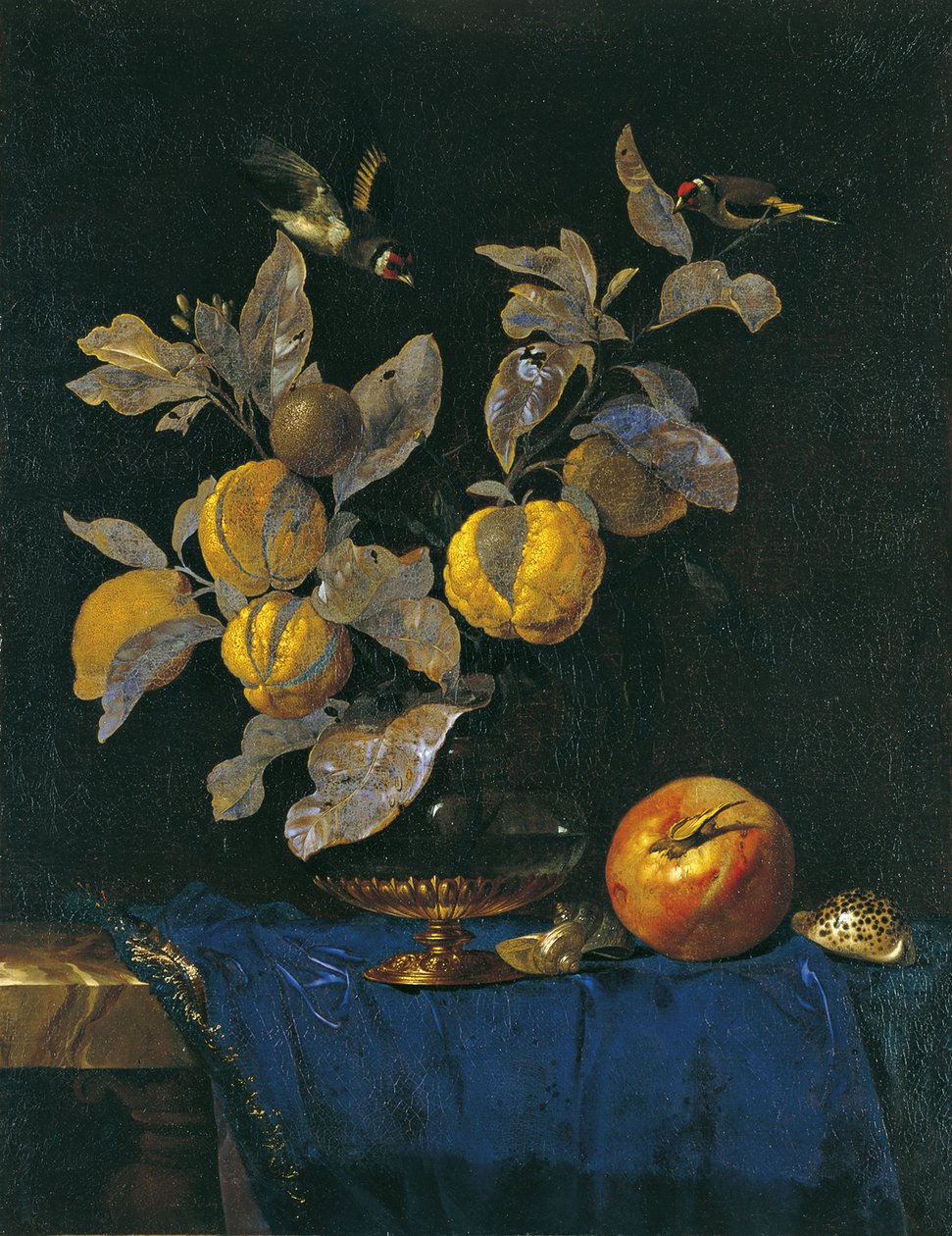 Stillleben mit Früchten von Willem van Aelst