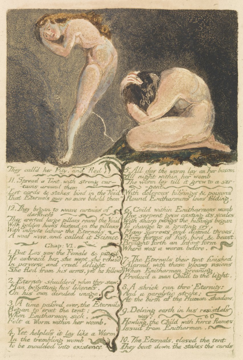 Das erste Buch Urizen, Tafel 17, Sie nannten sie Mitleid und flohen.. von William Blake