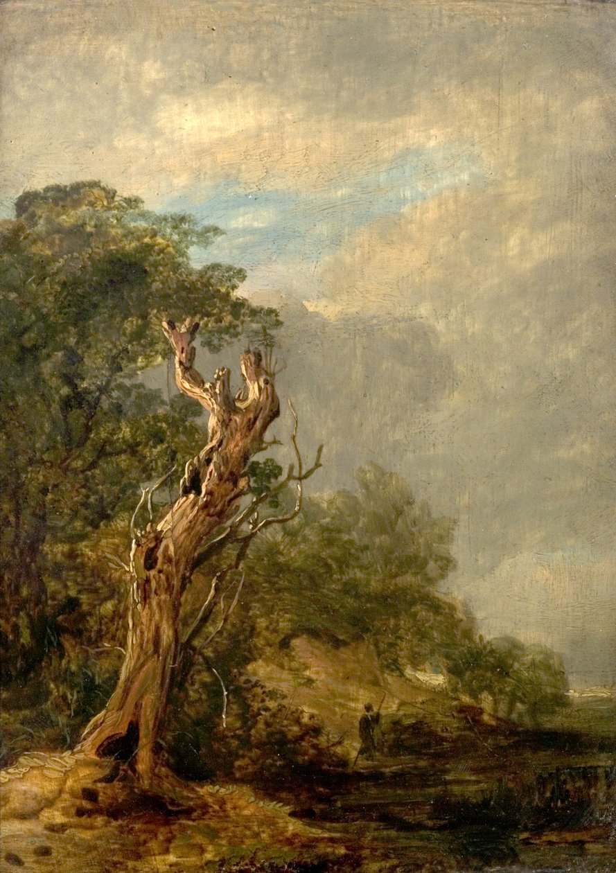 Der verdorrte Baum von William Collins