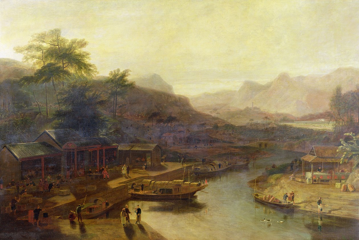 Eine Ansicht in China: Teepflanze kultivieren, ca. 1810 von William Daniell