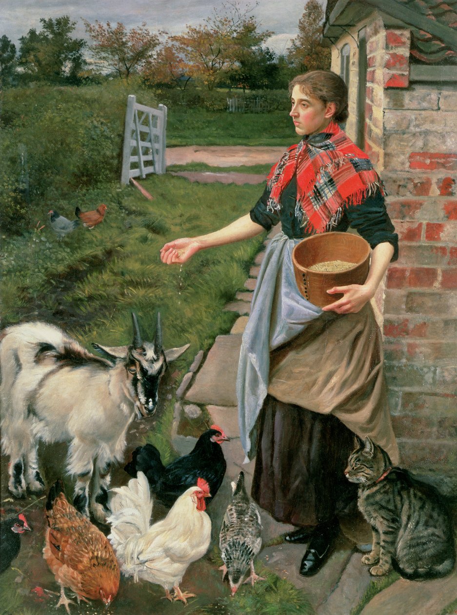 Hühner füttern von William Edward Millner