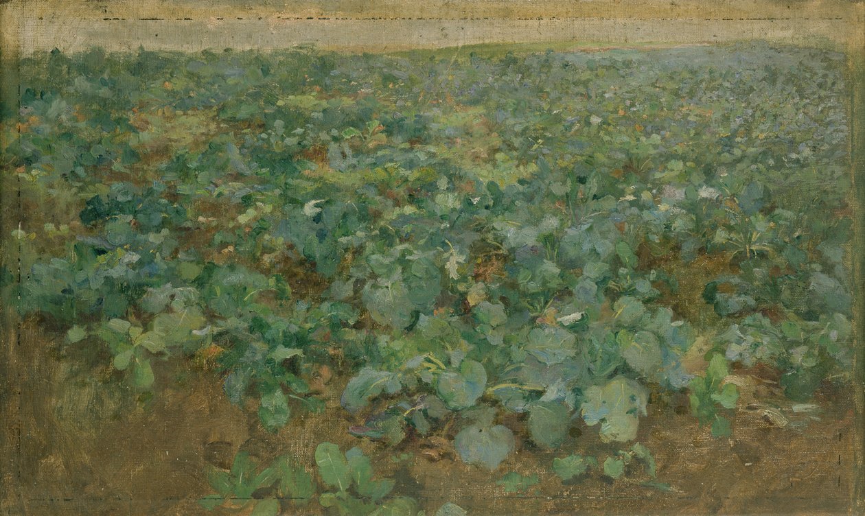 Das Rübenfeld von William Edward Stott