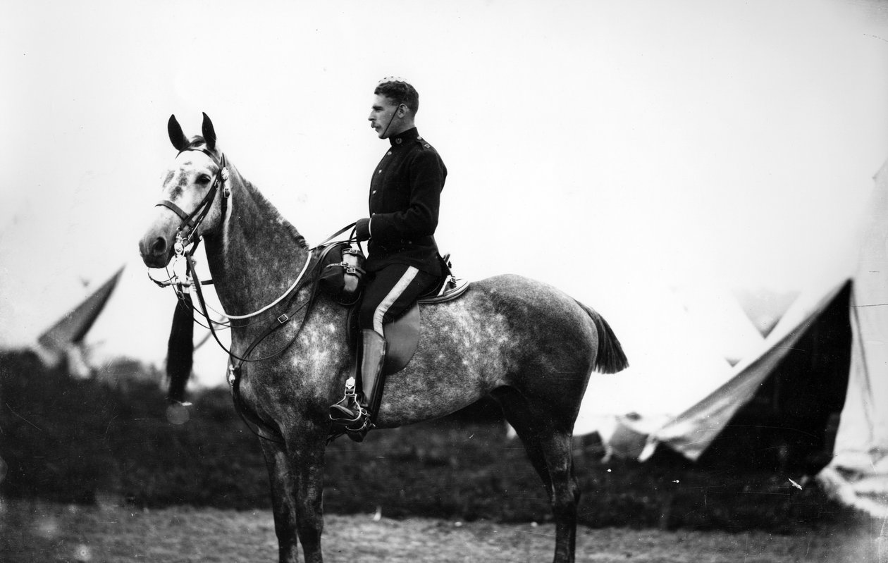 Offizier der Scots Greys, ca. 1890er Jahre von William Gregory