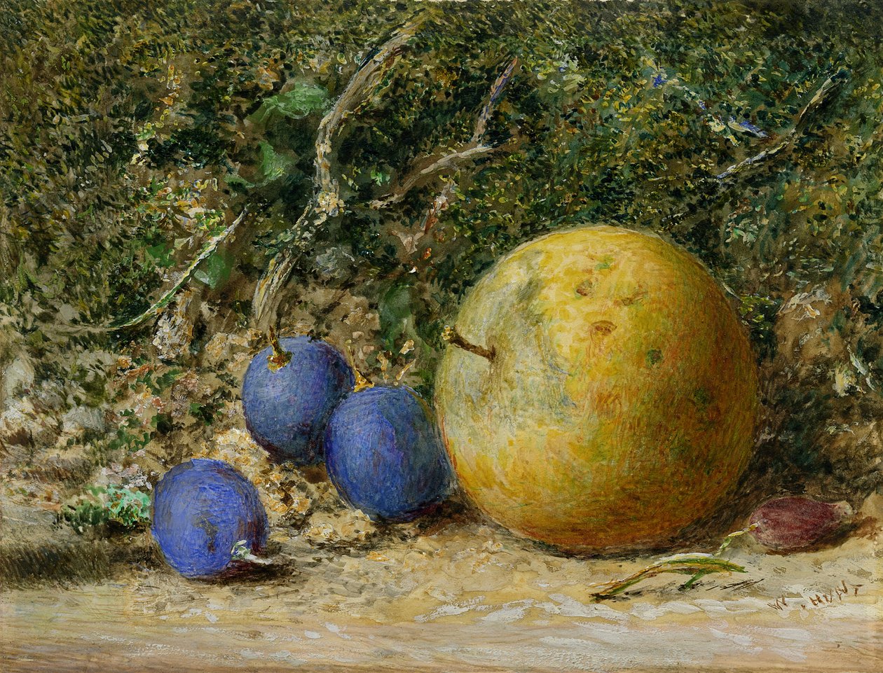 Drei Trauben und ein Apfel von William Henry Hunt