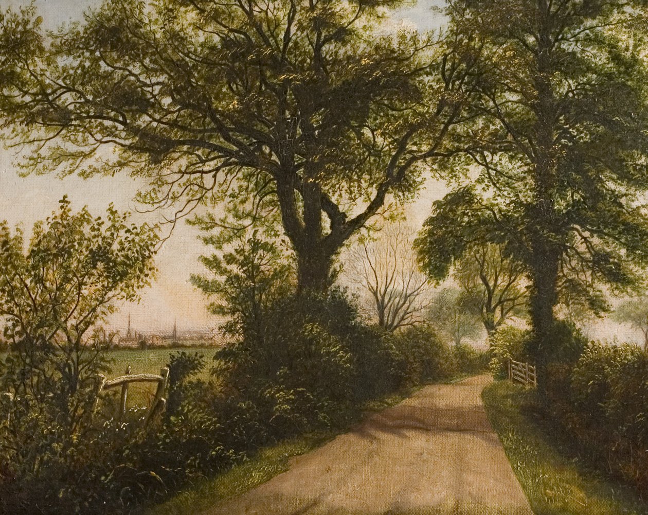 Ferner Blick auf Coventry, spätes 19. Jahrhundert von William Howard Reeve