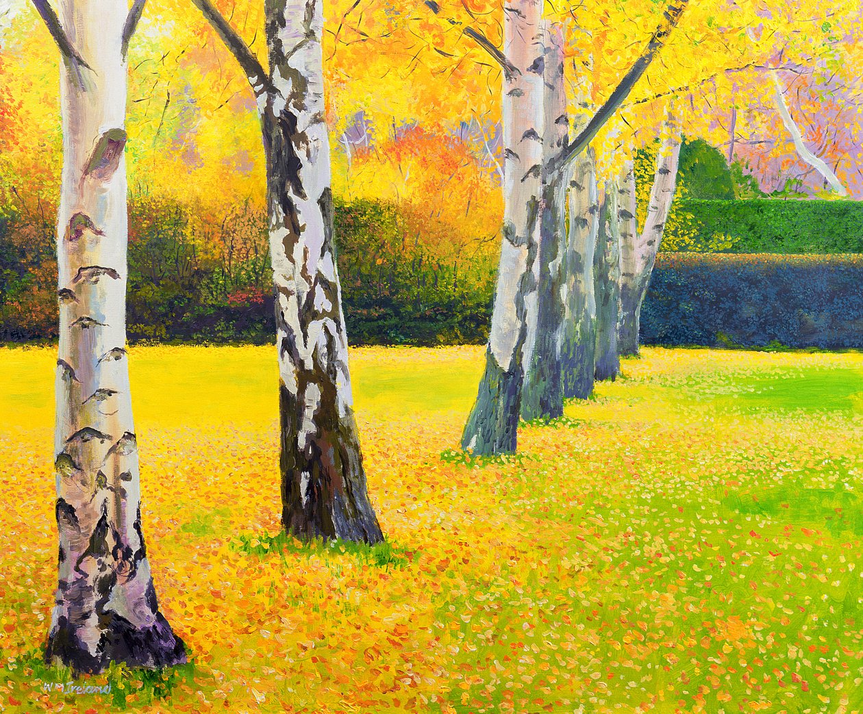 Herbstgold von William Ireland