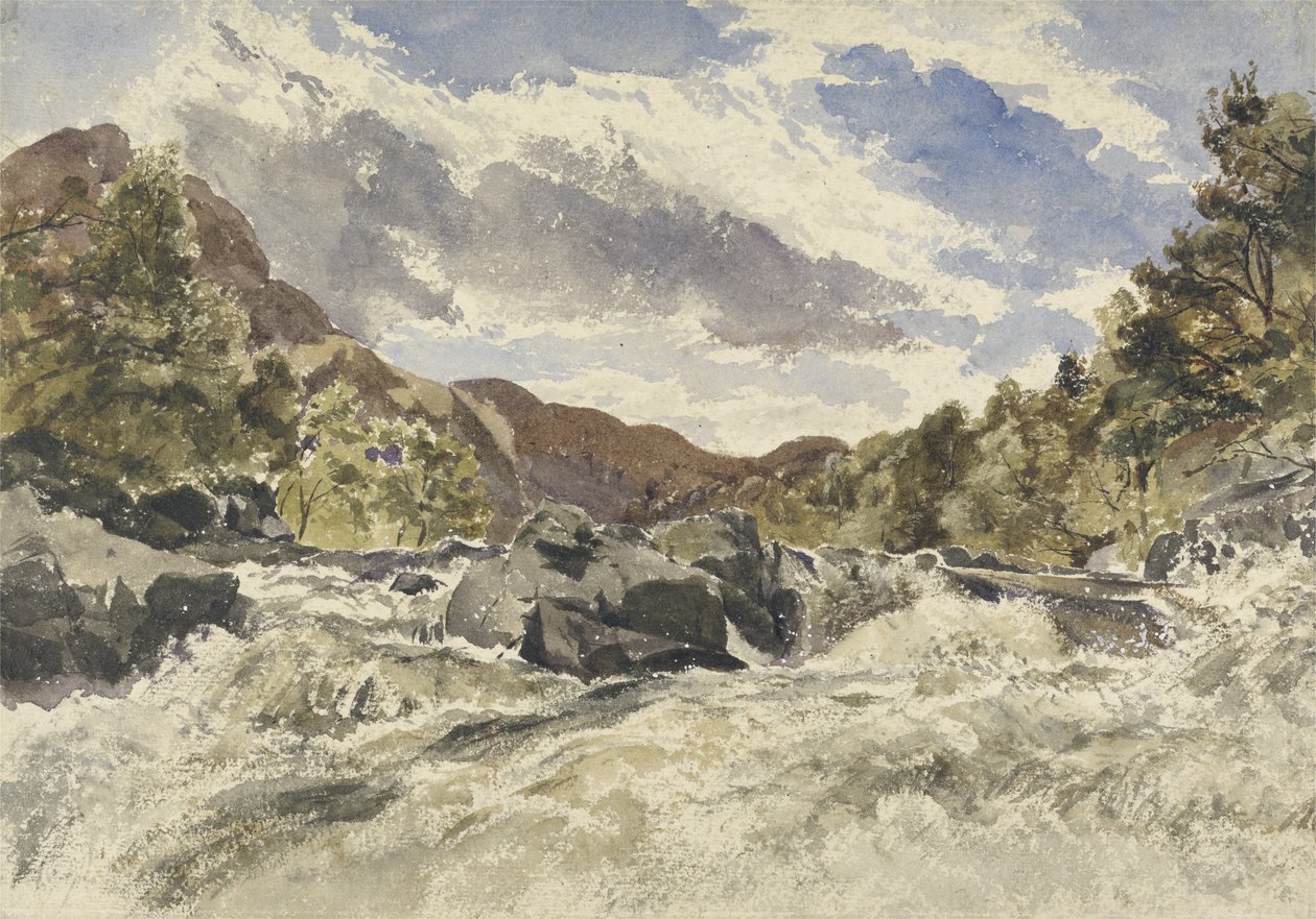 Ein Bergstrom von William James Muller