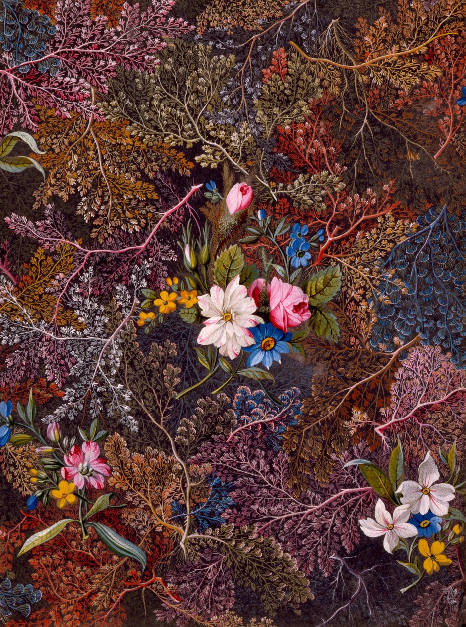Textildesign, ca. 1788-92 von William Kilburn