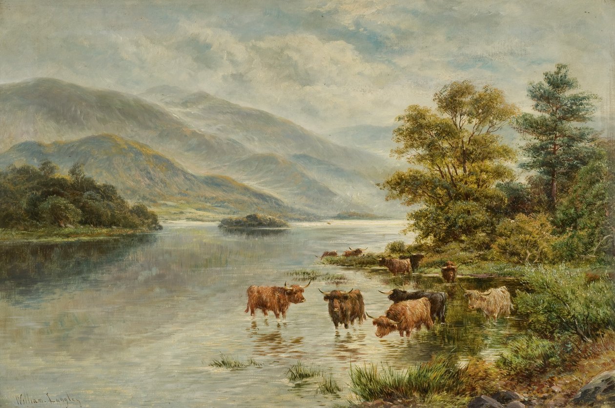 Loch Etive von William Langley