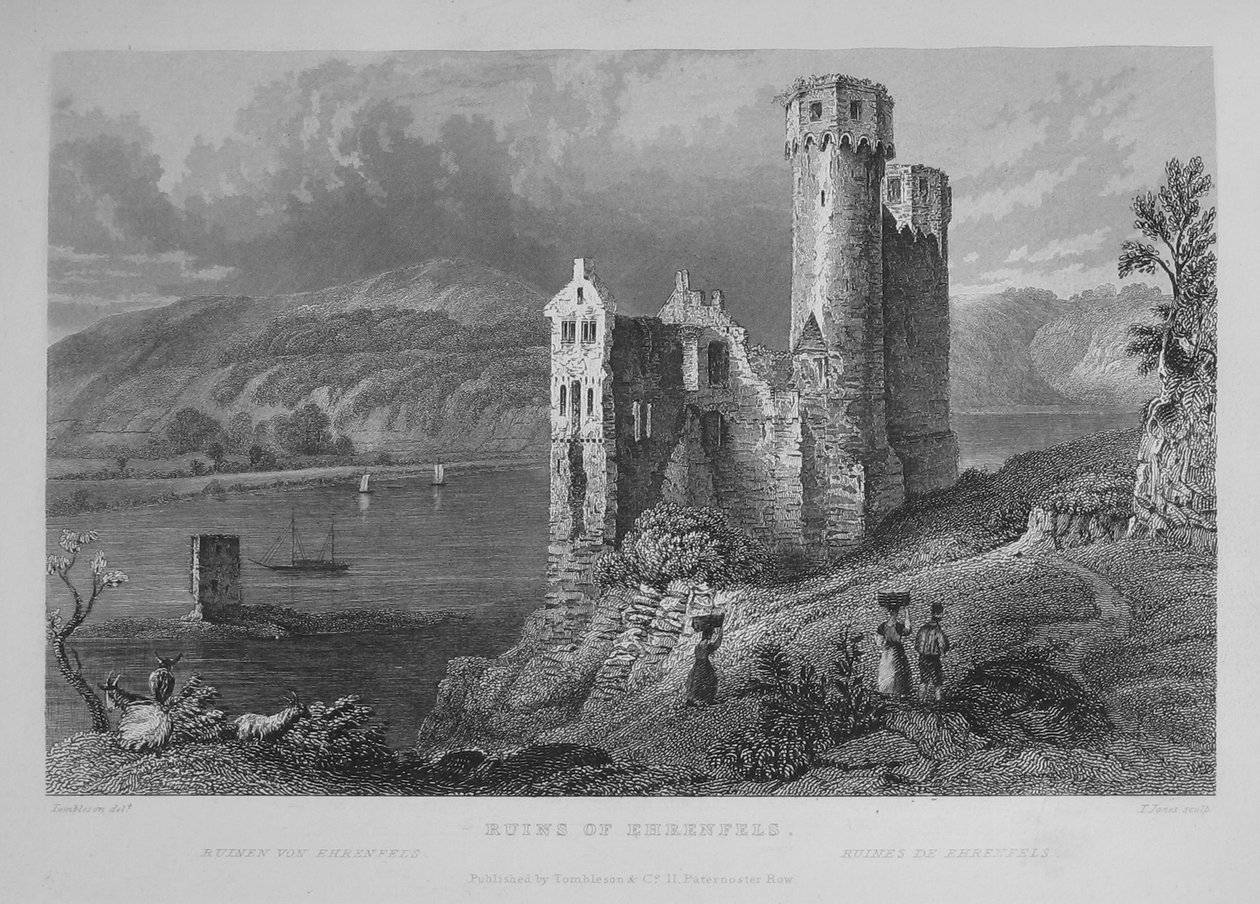 Ansichten des Rheins von William Tombleson