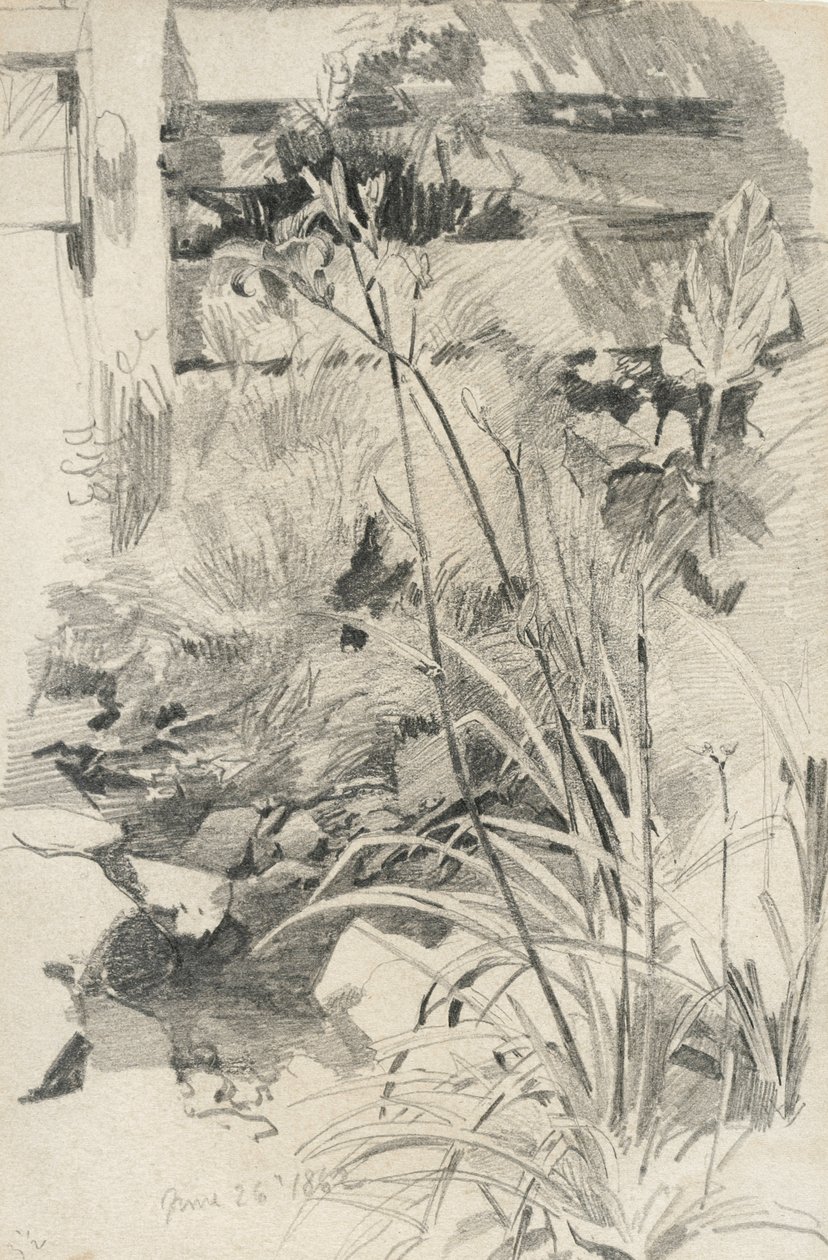 Taglilien an einem Holzzaun, 1862 von William Trost Richards
