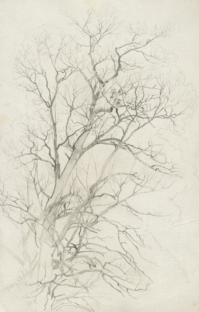 Baum, 1866 von William Trost Richards