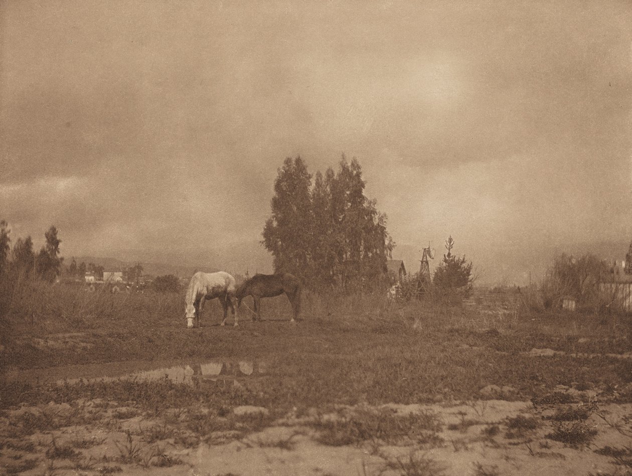 Pasadena Landschaft, 1899 von William B Post