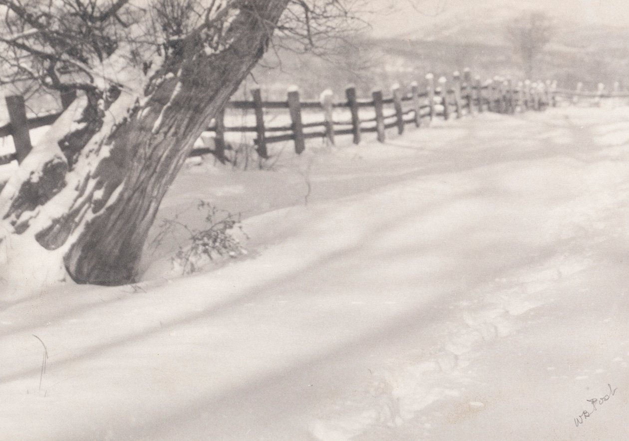 Pfad im Schnee von William B. Post